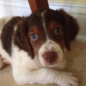 Meet your Posher, Caroline